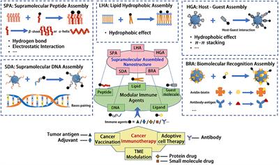 Supramolecular Self-Assembled Nanostructures for Cancer Immunotherapy